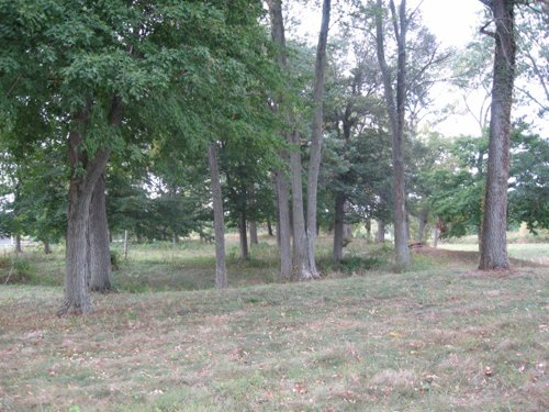 Property photo 83 - 80 Acres Offered in 4 Tracts - Horse Farm
